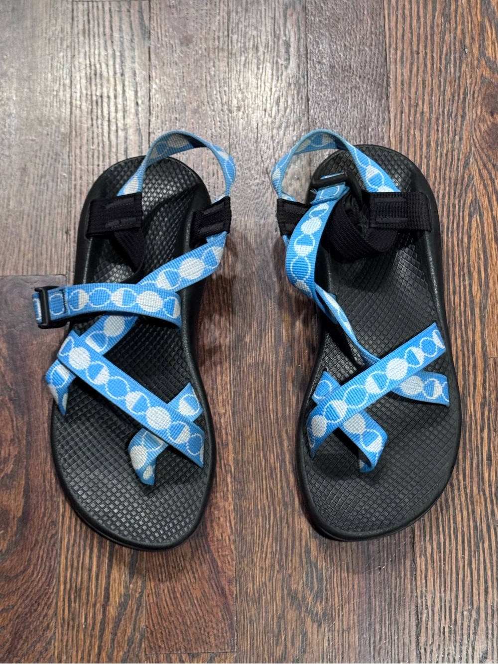 Chaco Z/2 Classic Sandals in Phase Azure